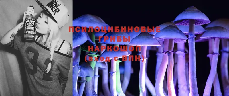 Галлюциногенные грибы Psilocybe  Мглин 